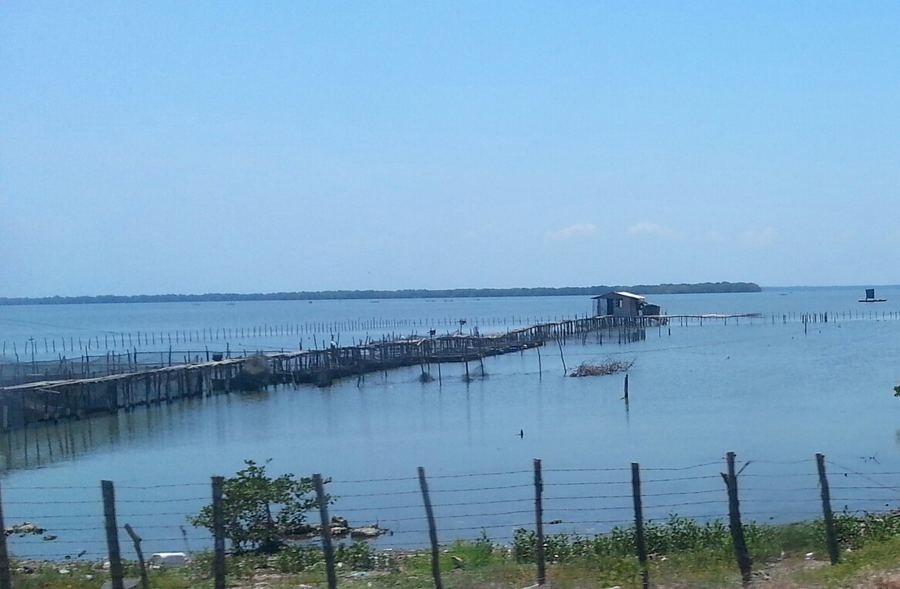 Buenavista stilt village