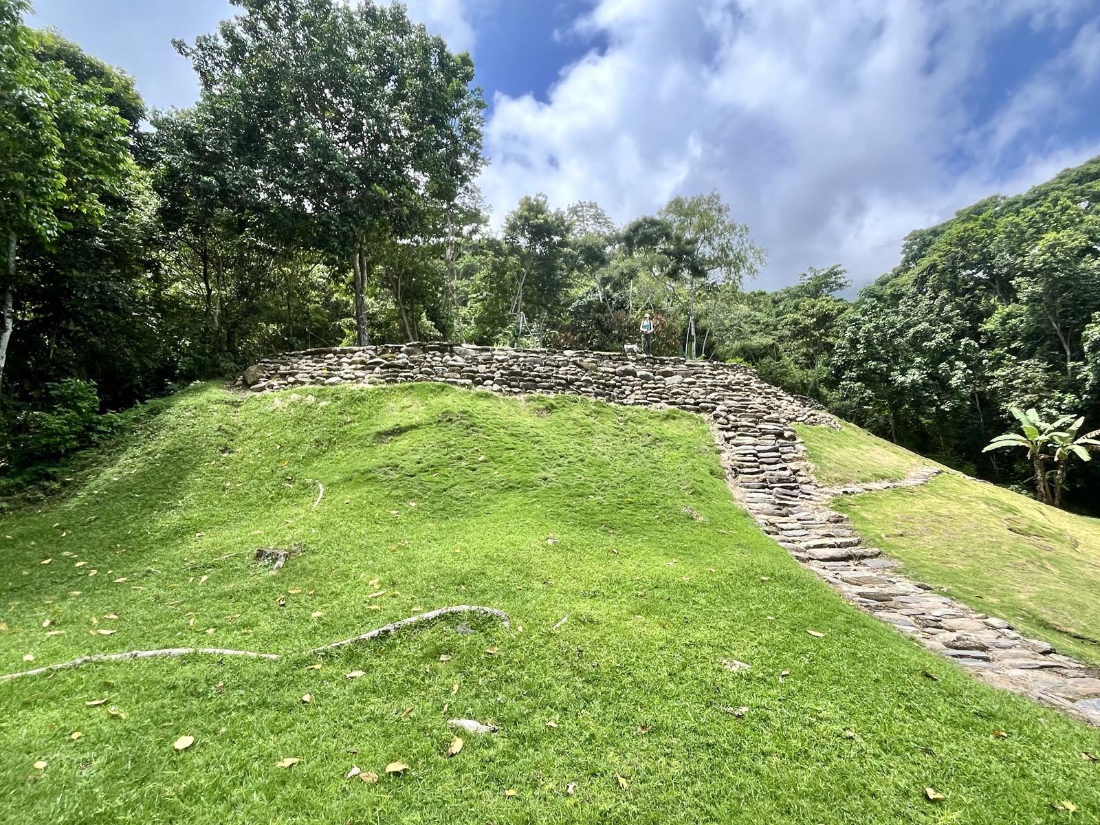 Muro de piedra de una terraza arqueológica cubierta de pasto en Bunkuany, rodeada de árboles
