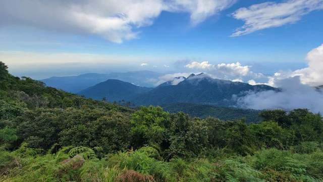 Montañas de la Sierra Nevada entre nubes, vistas desde un bosque verde
