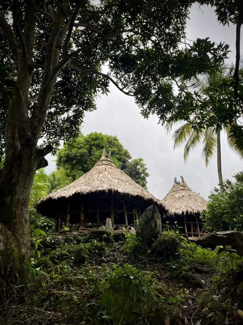 Casas ceremoniales de techo de paja entre árboles de la Reserva La Tigra