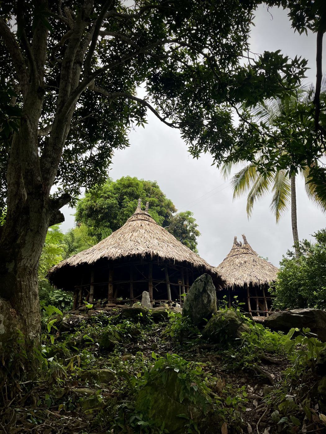 Casas ceremoniales de techo de paja entre árboles de la Reserva La Tigra